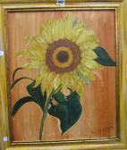 DUNN Clive Still Life Of Sunflower DUNN Clive Still Life Of Sunflower