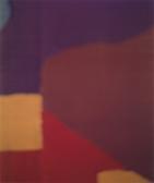 DUNN David Primitive Pattern (n + S Exposure), 1988 (diptych) DUNN David Primitive Pattern (n + S Exposure), 1988 (diptych)
