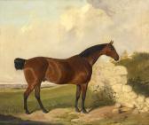 DUNN Joseph Bay Horse In A Landscape DUNN Joseph Bay Horse In A Landscape