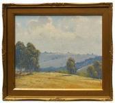 DUNNE Henry Afternoon Light, Kangarloon, Nsw, Near Bowral, Sw Of Wollongong DUNNE Henry Afternoon Light, Kangarloon, Nsw, Near Bowral, Sw Of Wollongong