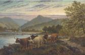 DUNNINGTON Albert Cattle On The Waters Edge At Brodick, Arran DUNNINGTON Albert Cattle On The Waters Edge At Brodick, Arran