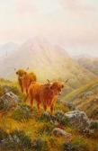 DUNNINGTON Albert Shetland Cattle On Ben Nuish, Island Of Arran, Scotland DUNNINGTON Albert Shetland Cattle On Ben Nuish, Island Of Arran, Scotland