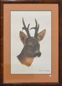 DUVIVIER Nicole Untitled DUVIVIER Nicole Untitled