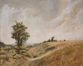 DUVOISIN Henri Summer Landscape DUVOISIN Henri Summer Landscape