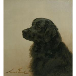 Maud Earl - Newfoundland