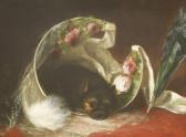 EARL Thomas William Basket Of Roses EARL Thomas William Basket Of Roses