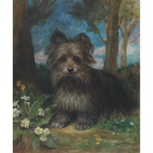 Eden Upton Eddis - Roy The Terrier In A Wood