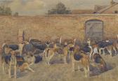 EDWARDS Lionel Dalhousie R. Dairymaid; Piteous; Trifle; Pilgrim; Pintail; Dazzle; Gertrude; Tuneful; Valentine; Nemesis; And Pittance EDWARDS Lionel Dalhousie R. Dairymaid; Piteous; Trifle; Pilgrim; Pintail; Dazzle; Gertrude; Tuneful; Valentine; Nemesis; And Pittance