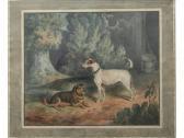 EDWARDS Sydenham Teast Two Dogs In A Yard EDWARDS Sydenham Teast Two Dogs In A Yard