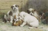 EERELMAN Otto Four Puppies At Play EERELMAN Otto Four Puppies At Play