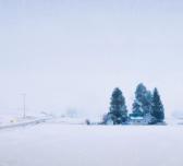 ELLIOTT JOSH White Winter ELLIOTT JOSH White Winter