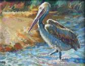 ELOFF Zakkie Pelican ELOFF Zakkie Pelican