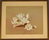 EMBLEM Michelle Floral Still Life EMBLEM Michelle Floral Still Life