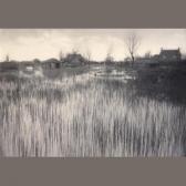EMERSON Peter Henry A Rushy Shore EMERSON Peter Henry A Rushy Shore