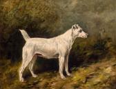 EMMS John Champion Vesuvienne - A Smooth Coated Fox Terrier In A Landscape EMMS John Champion Vesuvienne - A Smooth Coated Fox Terrier In A Landscape