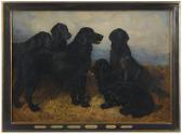 EMMS John Portrait Of Four Retrievers And A Black Spaniel EMMS John Portrait Of Four Retrievers And A Black Spaniel