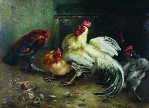  - engelen_van_piet-roosters_and_chickens~OM9cd300~10420_20050919_24_221