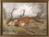 ERLEGTER Hirsch Herbstliches Jagdbild Vor Weiter Bewegter Landschaft ERLEGTER Hirsch Herbstliches Jagdbild Vor Weiter Bewegter Landschaft