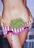 EROTIK PINK Yes Vegetarian. EROTIK PINK Yes Vegetarian.