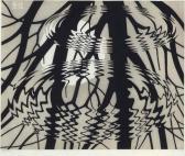 ESCHER Maurits Cornelis Rippled Surface ESCHER Maurits Cornelis Rippled Surface