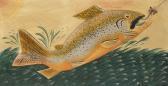 FEASEL BILL Leaping Trout Going After A Fly FEASEL BILL Leaping Trout Going After A Fly