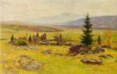 FECHTER Emerich Die Hochfichte Im Böhmerwald FECHTER Emerich Die Hochfichte Im Böhmerwald