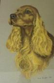 FELLINGHAM Carol Spaniel FELLINGHAM Carol Spaniel