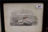 FENNING B. Sporting Dogs And Game Birds FENNING B. Sporting Dogs And Game Birds