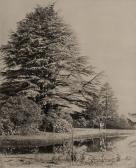 FENTON Roger Cedars Monmouthshire FENTON Roger Cedars Monmouthshire