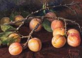 FERRI Augusto Coppia Di Nature Morte FERRI Augusto Coppia Di Nature Morte