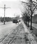 FIDGE E. L. King William Road FIDGE E. L. King William Road