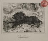 FIELDING Newton Smith Limbird Le Lion Et L\’âne Chassant; La Lionne Et L\’ours; Paon; Canards De Barbarie; Canards Sauvages; Cignes ; Chasse Au Cerf; Cochons; Ours FIELDING Newton Smith Limbird Le Lion Et L\’âne Chassant; La Lionne Et L\’ours; Paon; Canards De Barbarie; Canards Sauvages; Cignes ; Chasse Au Cerf; Cochons; Ours