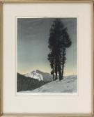 FIGURA Hans Pine Tree In Winter FIGURA Hans Pine Tree In Winter