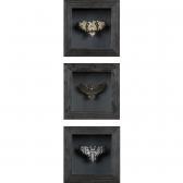 FILIPPOV Andrey & MAVROPULO Marina Three Works From The Sentimental Entomology Series, 2003 - 2004 FILIPPOV Andrey & MAVROPULO Marina Three Works From The Sentimental Entomology Series, 2003 - 2004