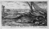 FLAMEN Albert Poissons De Mer FLAMEN Albert Poissons De Mer