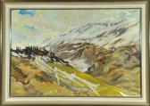 FLECHTENMACHER Otto Almwiese Im Frühjahr Mit Altschnee FLECHTENMACHER Otto Almwiese Im Frühjahr Mit Altschnee