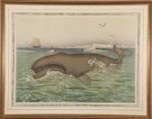 FLEISCHMANN Johann Joseph Whaling FLEISCHMANN Johann Joseph Whaling