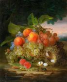 FORSTER George E. Still Life With Fruit And A Bird's Nest FORSTER George E. Still Life With Fruit And A Bird's Nest