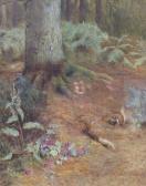 FOSTER W. Squirrels In Wodland FOSTER W. Squirrels In Wodland
