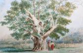 FOSTER William Oak Near Cranbourne FOSTER William Oak Near Cranbourne