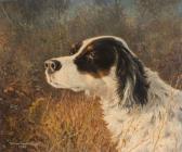 FOSTER William Harden English Setter FOSTER William Harden English Setter