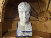FOWLER N.L. Phrenology Bust FOWLER N.L. Phrenology Bust