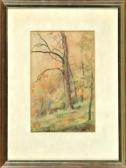 FRANKE Hanny, Joh. Emil Herbstliche Baumstudie FRANKE Hanny, Joh. Emil Herbstliche Baumstudie
