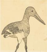 FREUD Lucian Untitled (study Of A Bird) FREUD Lucian Untitled (study Of A Bird)