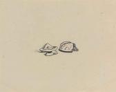 FREUD Lucian Walnut Shell FREUD Lucian Walnut Shell