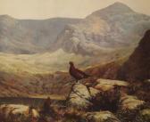 FRIERS Julian Irish Red Grouse FRIERS Julian Irish Red Grouse