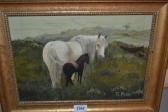 FRYER G. View Of A Dartmoor Mare And Her Foal FRYER G. View Of A Dartmoor Mare And Her Foal