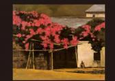 FUJITA Tadao House With Bougainvilleae FUJITA Tadao House With Bougainvilleae