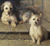 FULTON Samuel A Dandie Dinmont And Terrier FULTON Samuel A Dandie Dinmont And Terrier