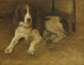 FULTON Samuel A Springer Spaniel FULTON Samuel A Springer Spaniel